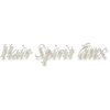 ヘアスピリッツアンクス(Hair Spirit anx)のお店ロゴ