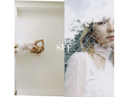 シー(SEE.)の写真