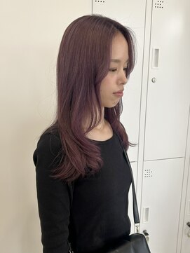 ニゲラ(Nigella) ラベンダーカラー