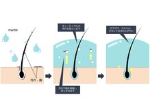 頭皮だけじゃない！髪のキューティクルの隙間に入り込みます。