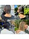 ベシック(VECHIC)の写真/VECHIC式カラーでダメージレスな艶髪へ！大人女性ののお悩みに寄り添いご提案します◎