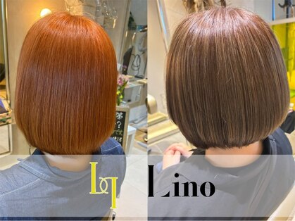 リノ(Lino)の写真