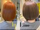 リノ(Lino)の写真