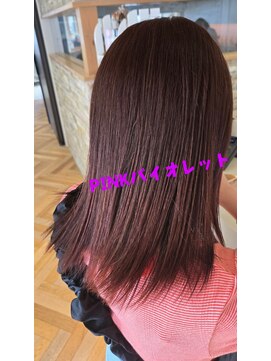 デイジー(daisy) PINKバイオレットカラー