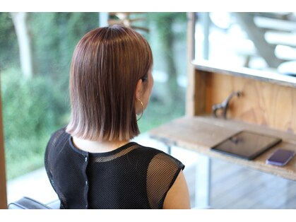 シゾーマエダ(ciseaux maeda)の写真