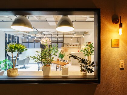 リモア(Remore)の写真