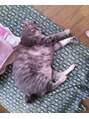 ベースヘアー(BASE hair) 実家のニャンコちゃんでぶかわ