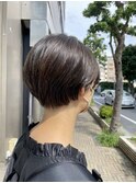 コンパクトショート
