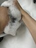 マイクロバブル泡パックmarbb＆カット（tokikata施術付き）　￥5,500