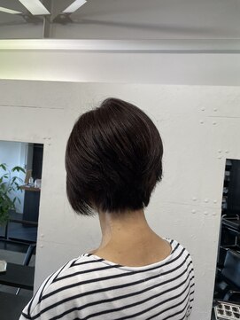 シャンプー(SHAMPOO) レイヤーショートカット