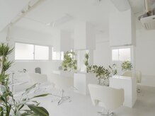 メンズサロン ルーツ 巣鴨(メンズサロン roots)