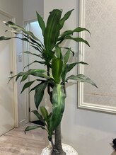 ドゥワドフェ 塚本店(Doigt de fee)&nbsp;藤岡 正行