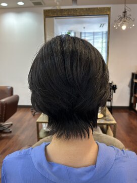 アクエルド(acuerdo) ショート