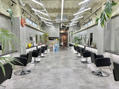 ウム(umu.)の写真