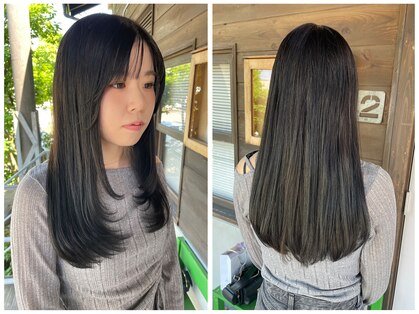 ニコット(nicott)の写真