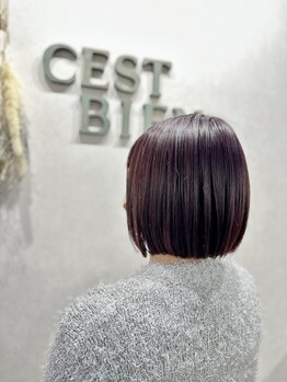 セビアン(Cest Bien)の写真/大人可愛いスタイルが叶う◎カット技術に差がでるショートスタイルは【Cest Bien】にお任せ☆