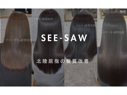 シーソー(SEE-SAW)の写真