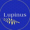 ルピナス 中田(Lupinus)のお店ロゴ