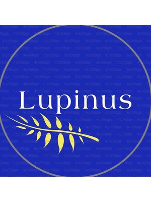 ルピナス 中田(Lupinus)