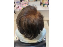 プルブ