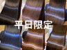 【クセが気になる方へ】 Premium艶髪ストレート(縮毛矯正)+カット ¥16900