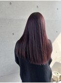 暖色系カシスブラウンツヤ髪ストレートロング