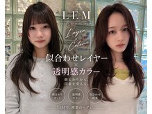 レム(LEM)