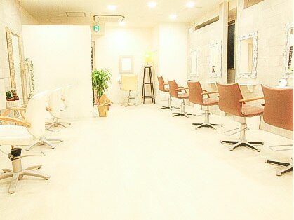ファレ(Phalae)の写真
