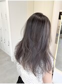 シルバーバレイヤージュ