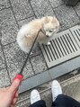 ヘッズ 高木瀬店(HEADS)&nbsp;我が家の癒し担当の愛犬です♪毎日元気いっぱいです！高木瀬