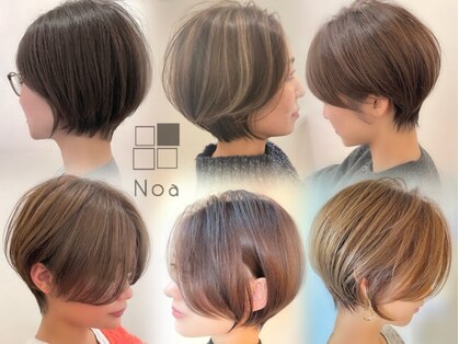 ノア(Noa)の写真