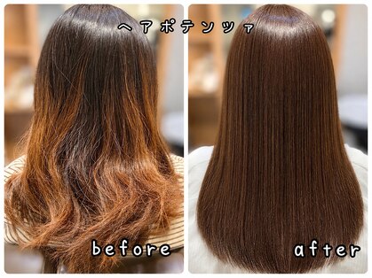 アンプリフィア(amplifier)の写真