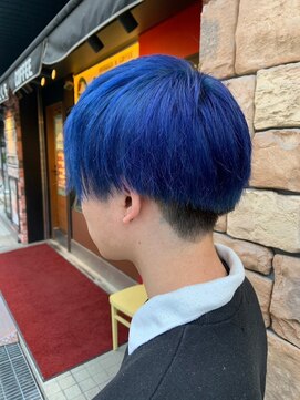 オプティマヘアー(Optima Hair) ロイヤルブルー