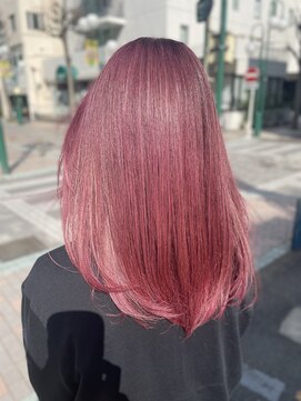 アーク(RAK) ピンクベリー　　　【RAK川崎】