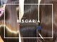 カラーサロンビスカリア 相模原エリア 淵野辺駅店(Color salon Biscaria)の写真