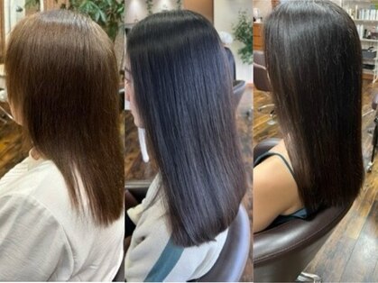 サッコウ(sakkou)の写真