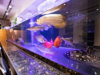 ヘアーサロン アラ(hair salon Ara)の写真/《7ｍの水槽でプチアクアリウム体験》身も心もリラックスできる空間づくりに力を入れています◎