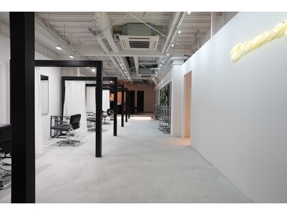 ディセンシー(Dicency)の写真