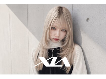 シア(XIA)の写真