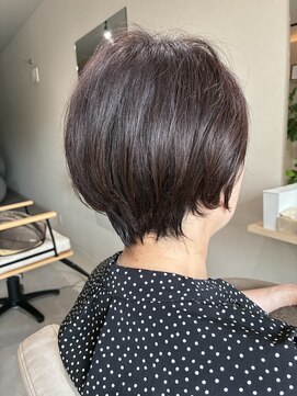 本と南風 guest design