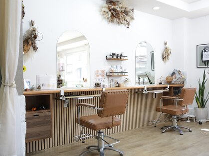 シュシュ(Chouchou.)の写真