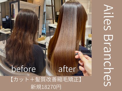 エル ブランシェ(Ailes Branches)の写真