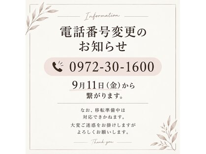 ラテ(la.tte)の写真