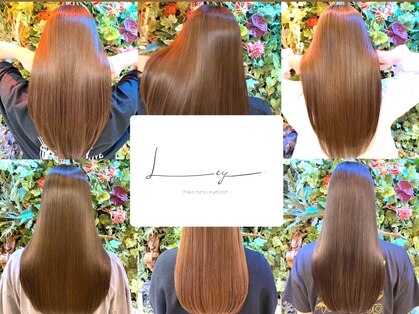 レイ(Ley)の写真