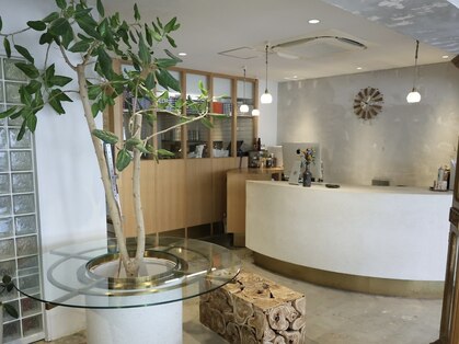 レティ(lety)の写真