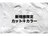 [平日限定] カット＋高発色カラー　￥13.310→12.650
