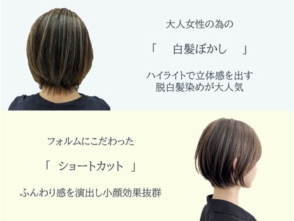 ベアーズ1の写真