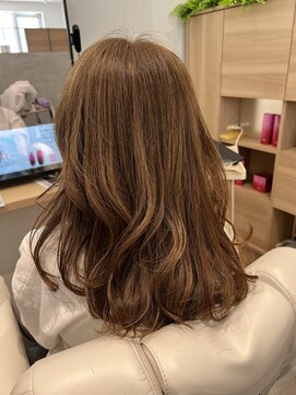 ウィスタリアフィールドプランシュ(WISTARIA FIELD-PLANCHES) 大人ミディアム