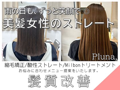 プルーナ(Pluna.)の写真