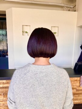 ヴァン カウンシル 王子(VAN COUNCIL) シルキーボブ